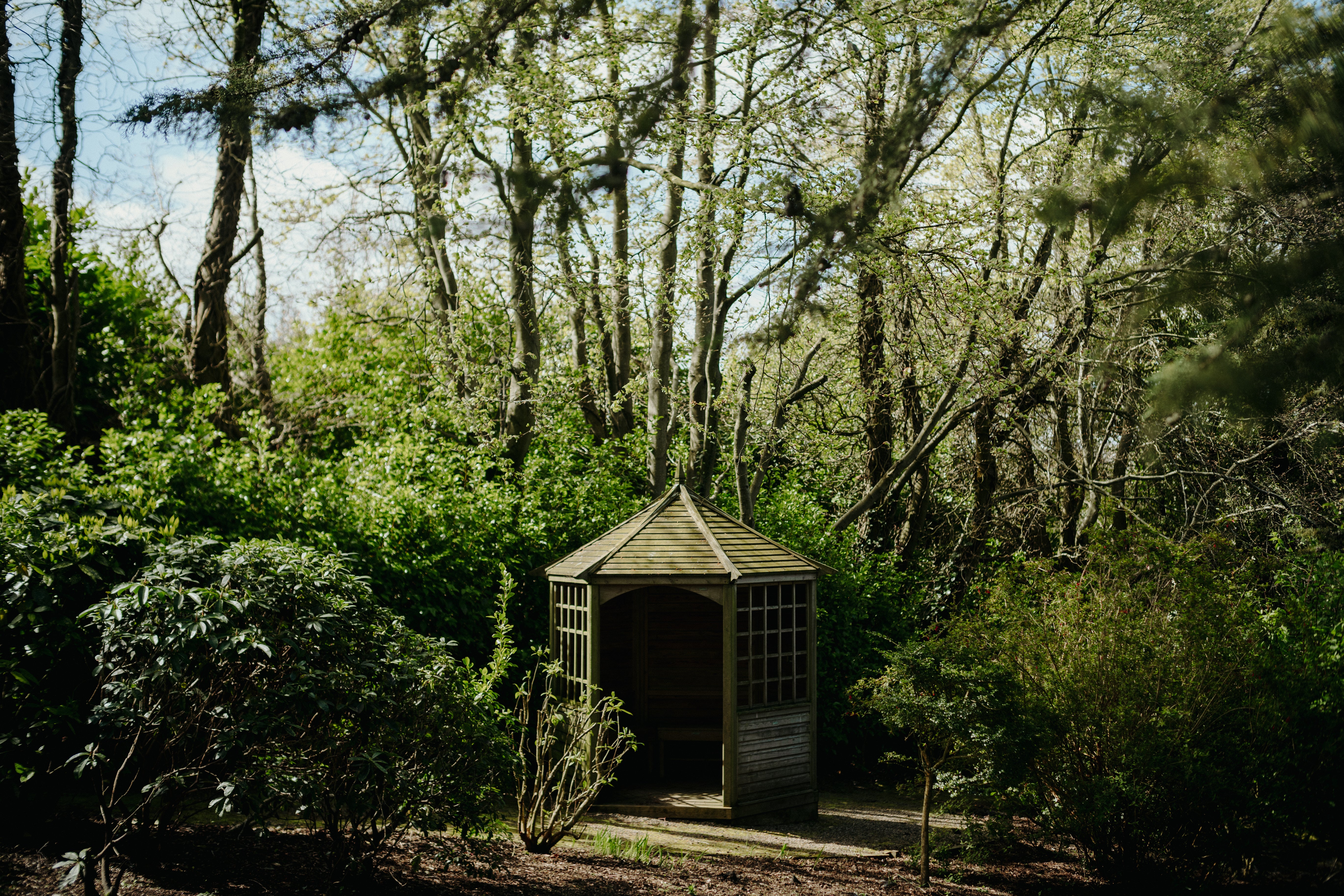 Greenery and wooden garden house