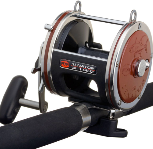 PENN Levelwind Reel and Mariner Rod Combo – Hartlyn, penn 309