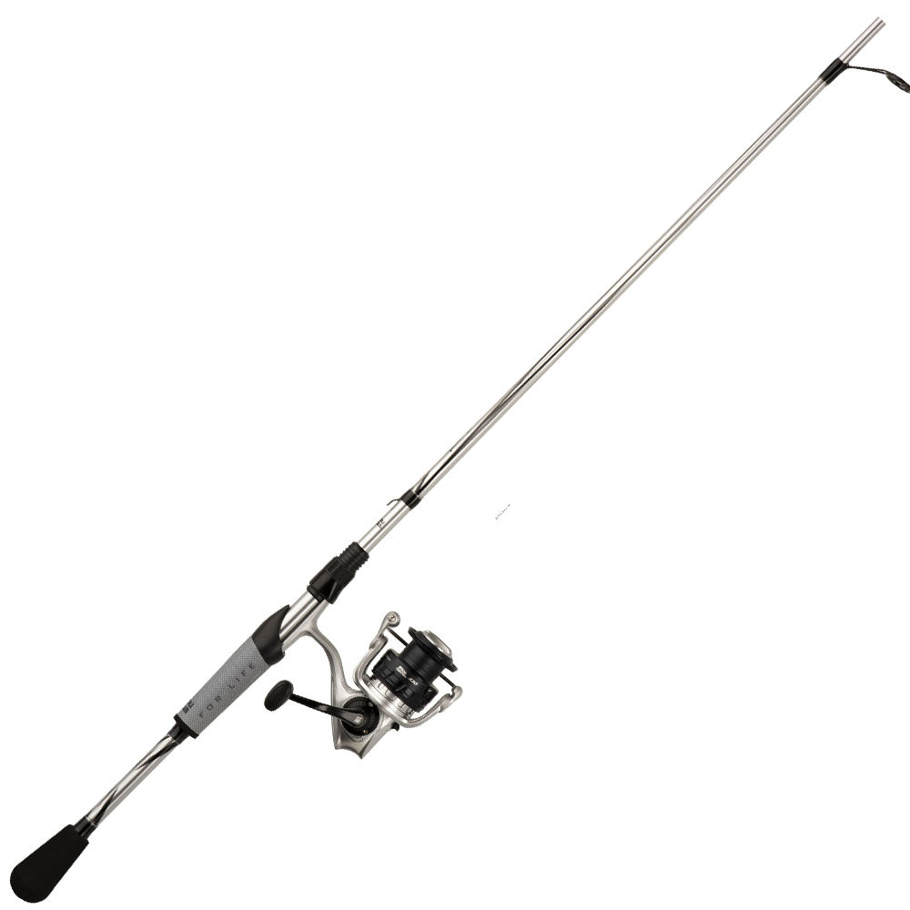 Fenwick Pflueger Golden Wing Spinning Combo