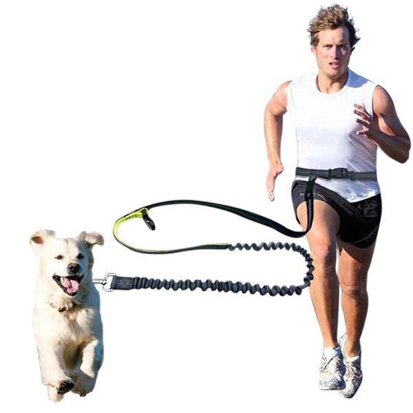 waist dog leash