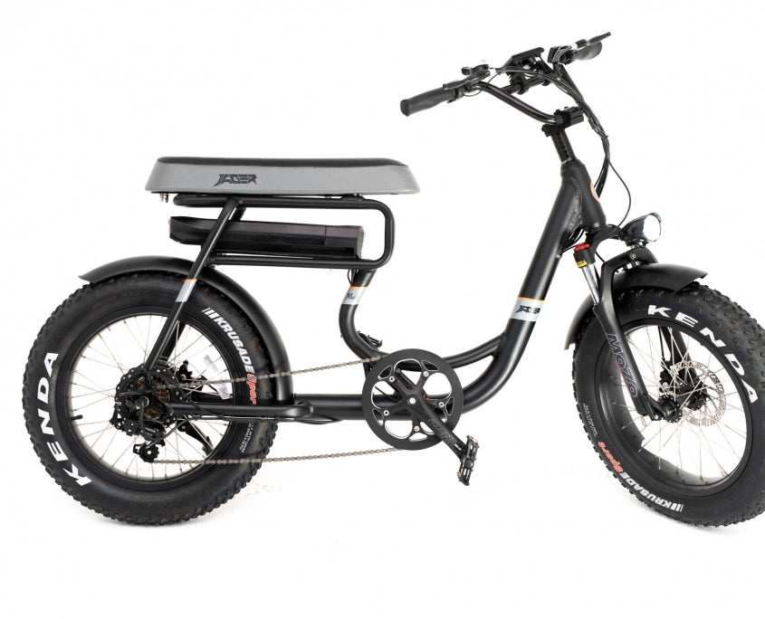 2 seater electric bike