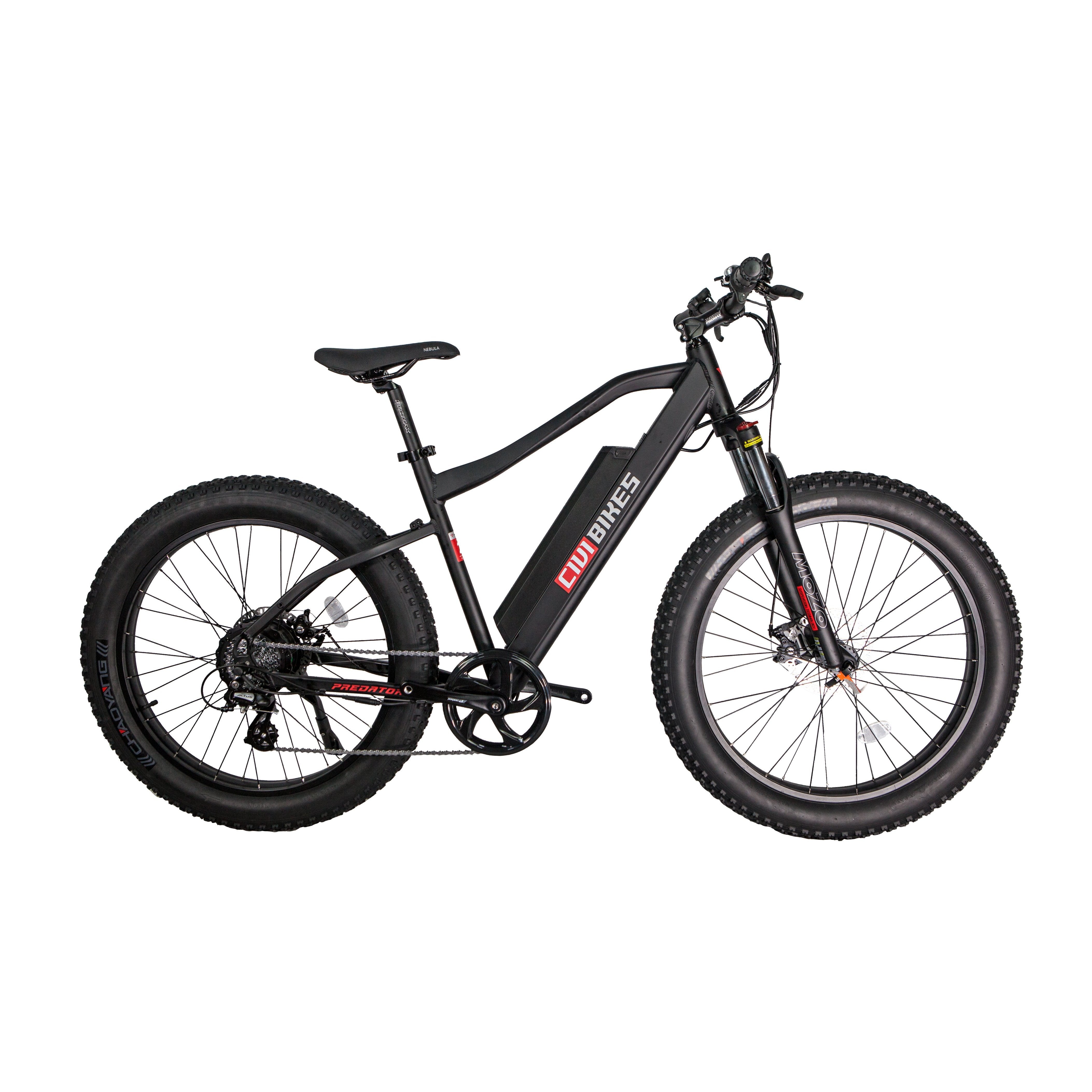 48v electric bike