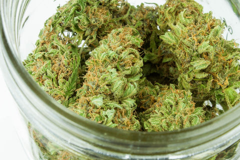 Cannabis legale le 5 varietà più apprezzate