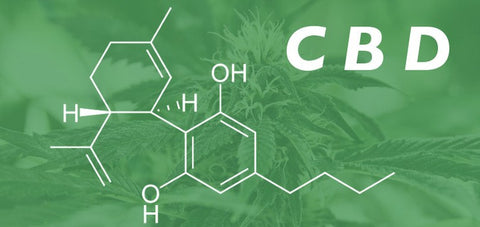 differenza tra cbd e thc