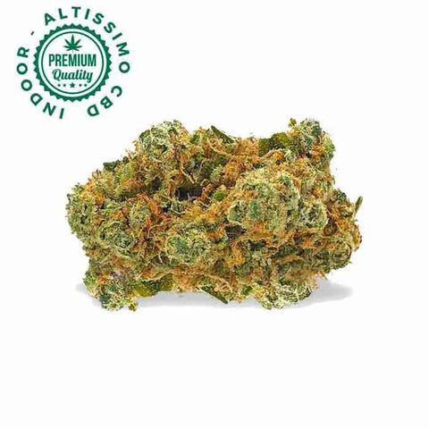 California Haze - Premium Indoor Selection CBD 24% California Haze CBD 24% - Erba legale Weedzard Infiorescenza