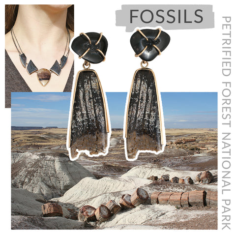 Fossils