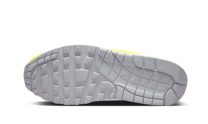 Nike Air Max 1-sko til kvinder - Grå - DX2954-001