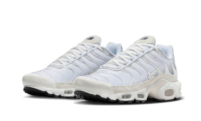 Scarpa Nike Air Max Plus - Grigio - FN7813-001