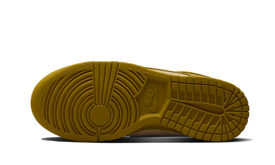 Nike Dunk Low-sko til kvinder - brun - FQ8897-252