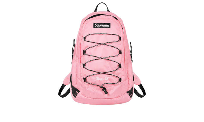 supreme x tnf backpack