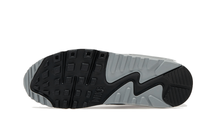 Nike Air Max 90 LTR-sko til store børn - White - CD6864-105
