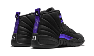 air jordan dark concord 12