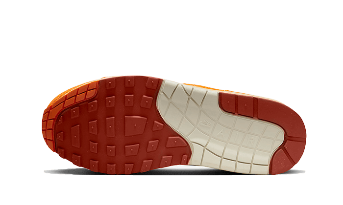 Nike Air Max 1-sko til kvinder - grå - DZ4709-001