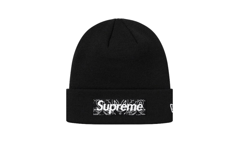 supreme paisley beanie