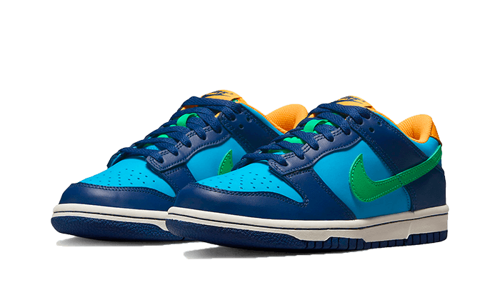 Sapatilhas Nike Dunk Low Júnior - Azul - DV1693-401