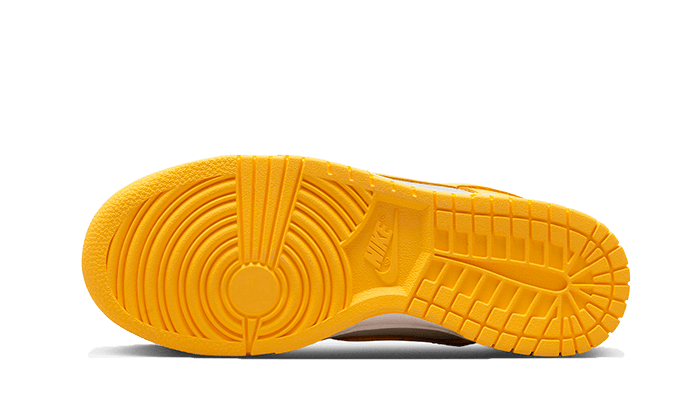 Nike Dunk Low-sko til kvinder - grå - DD1503-002