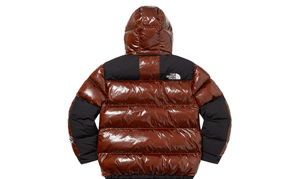 Supreme The North Face 700-Fill Down Parka Brown | islamiyyat.com