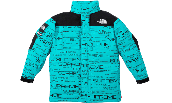 Supreme x The North Face 700-Fill down parka, Black