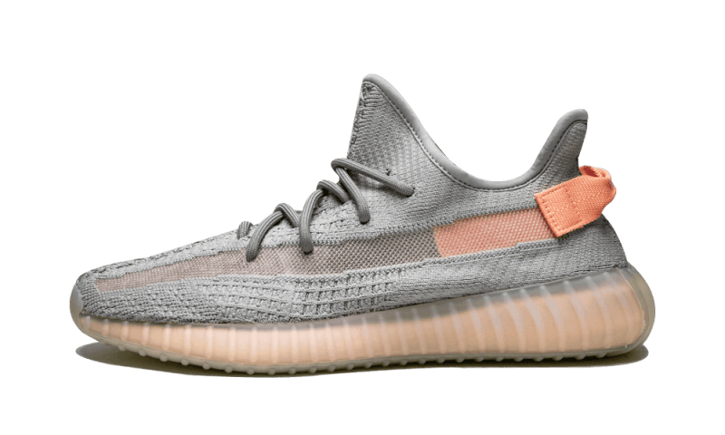 Adidas Yeezy 350 True Form