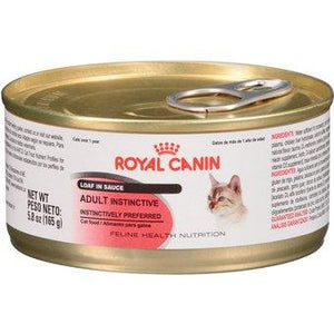 royal canin fhn kitten