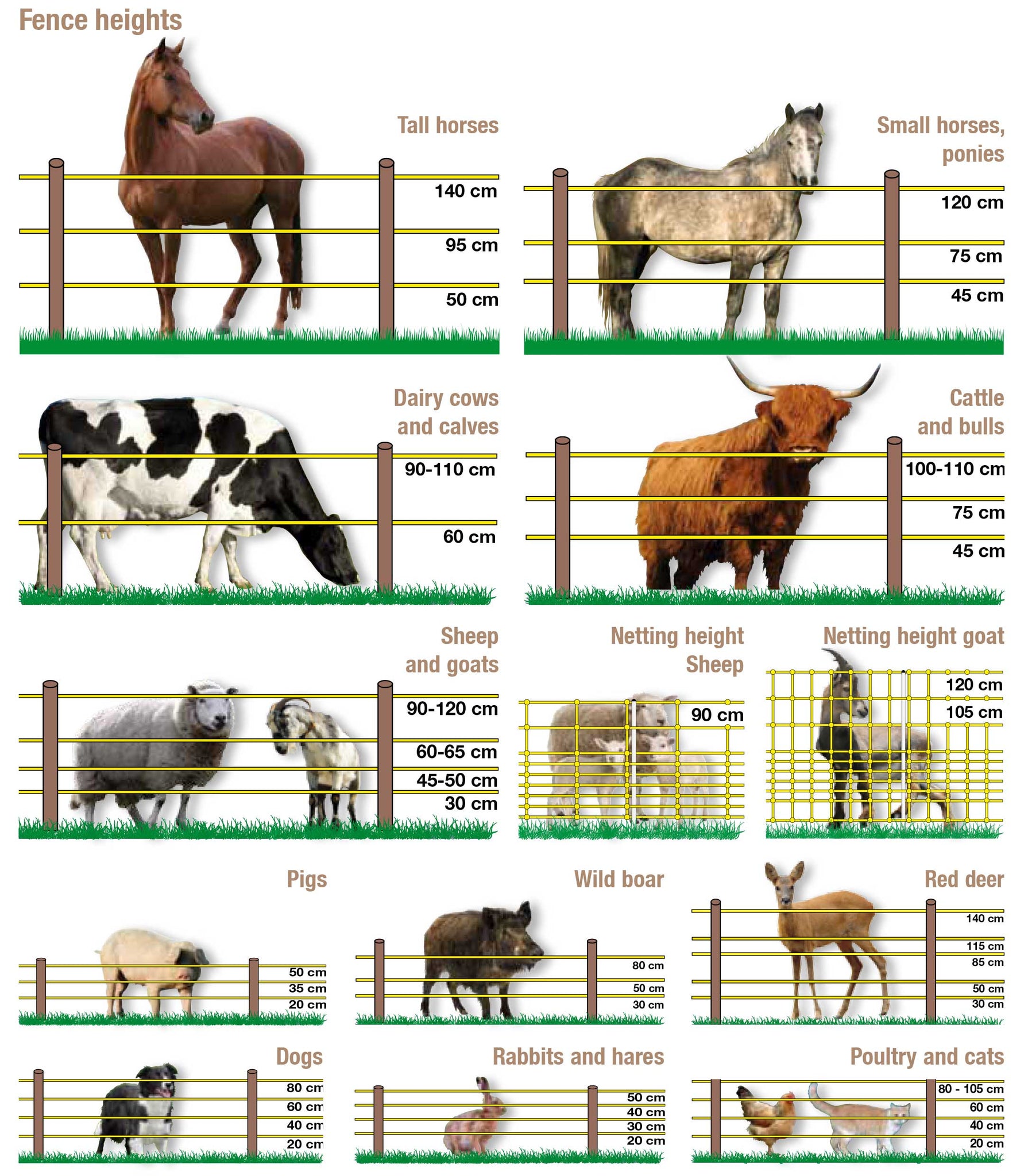 Electric Fence Heights For Each Animal Type