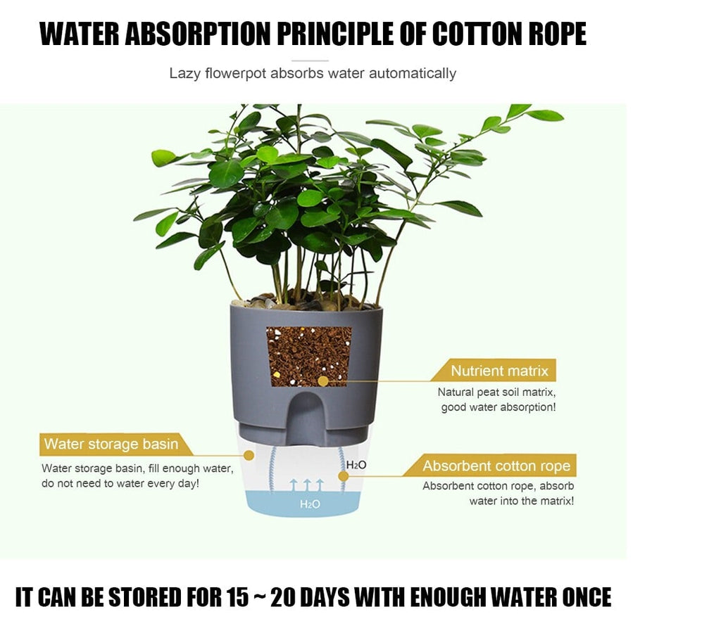 self watering plot diagram