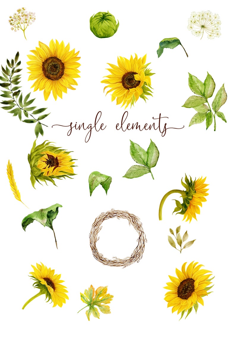 Download Lovely Sunflowers Watercolor Set Www Peachcreme Com