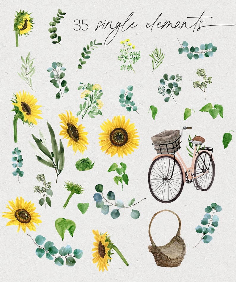 Download Sunflower Eucalyptus Watercolor Set Www Peachcreme Com