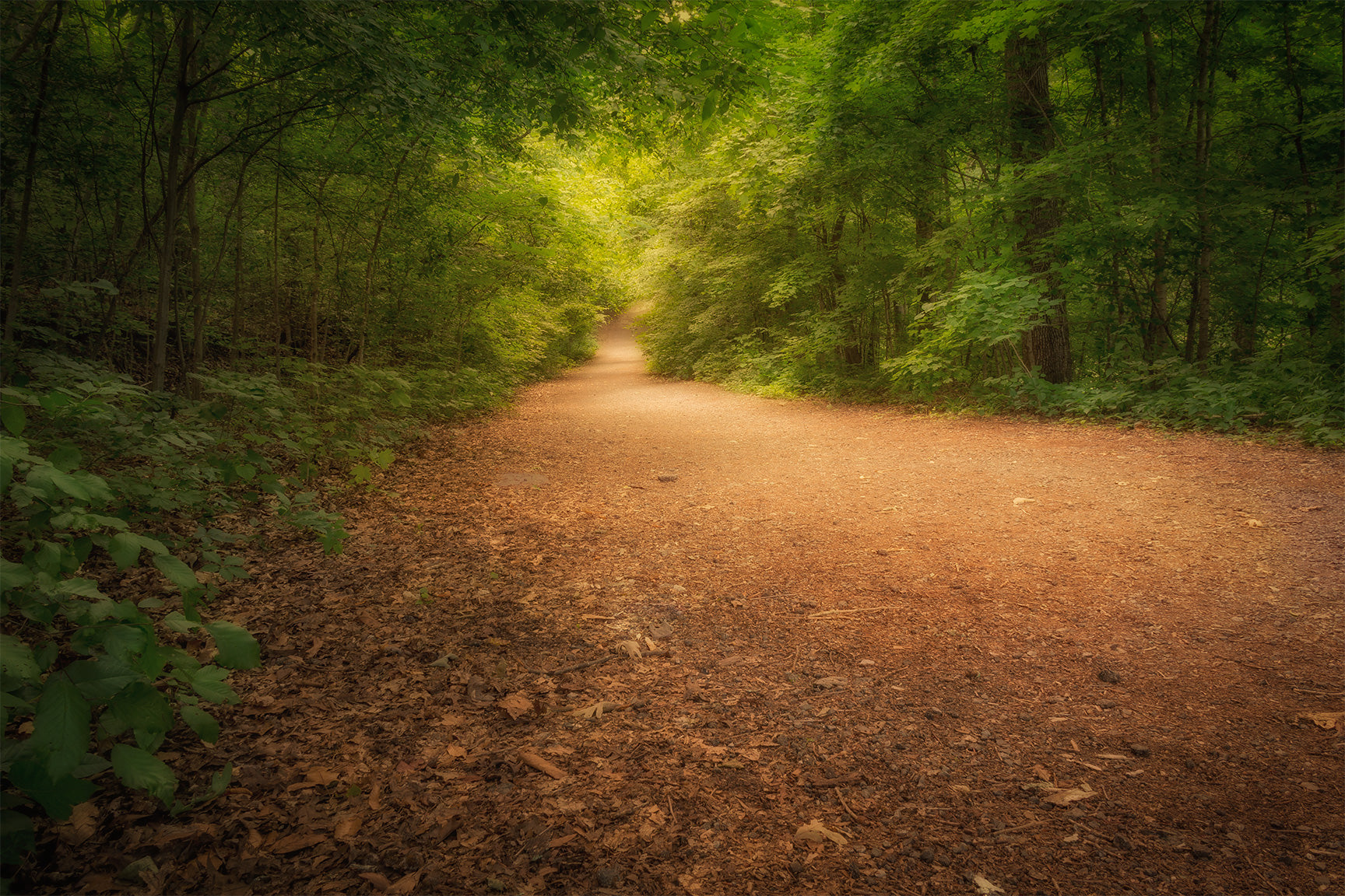 Dunbar Cave Trail