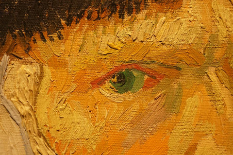 Eye of Vincent van Gough in detail, taken by Mike Fewster.