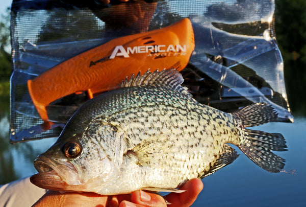 American Angler