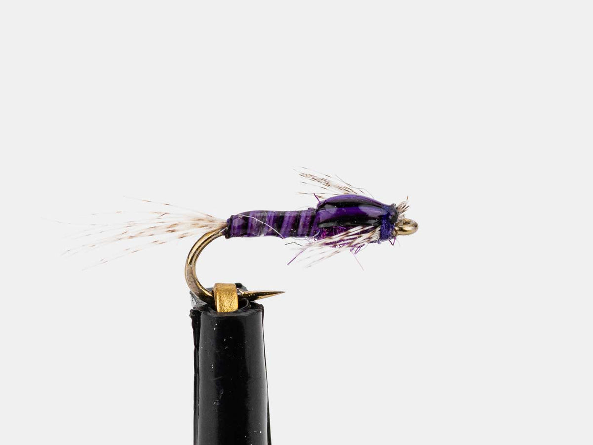 Bloom's Purple Weight Fly pattern - Dave Bloom Fly Tying Tutorial