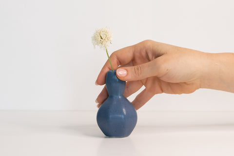 sprout vase
