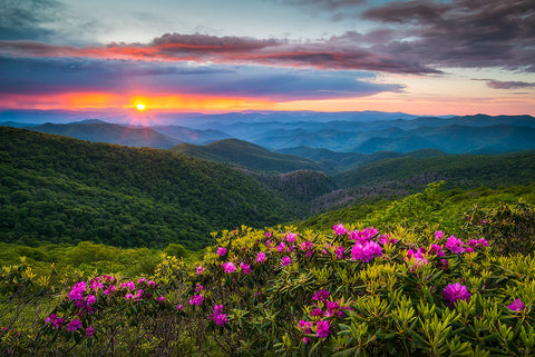 craggy gardens