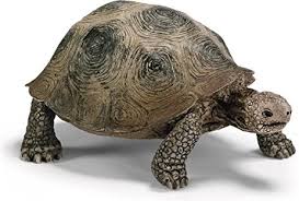 Schleich - Turtle https://babystuff.co.nz/products/schleich---turtle Did you know? Turtles are reptiles. Turtles have a hard shell that protects them like a shield, this upper shell is called a 'carapace'. Turtles also have a low... Sales channels Manage Available on 3 of 3  Online Store  Facebook Mobile App Organization Product type  toys Vendor  www.babystuff.co.nz Collections There are no collections available to add this product to. You can add a new collection or modify your existing collections.  Tags