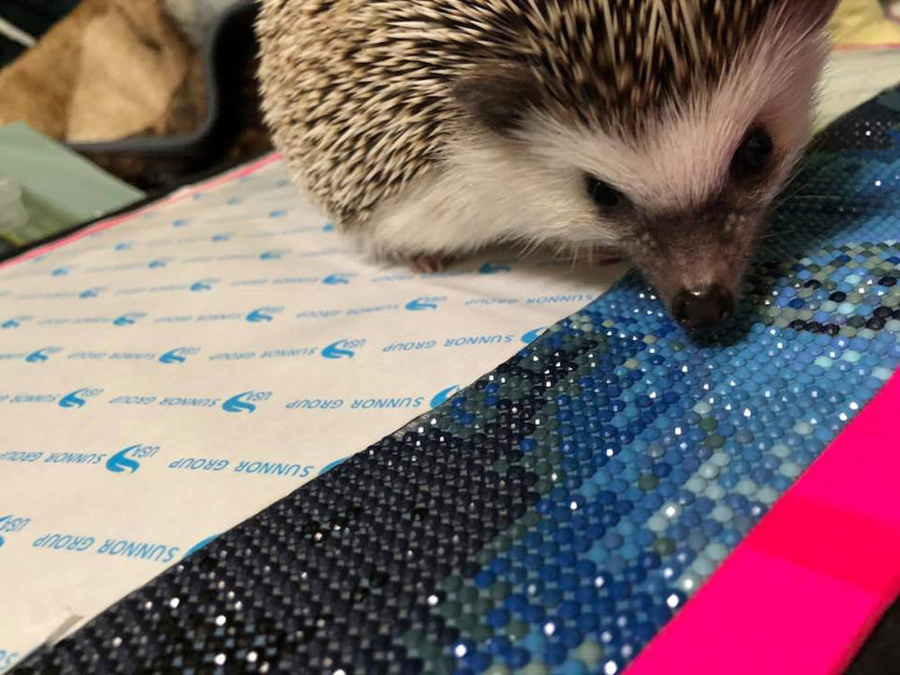 Diamond Painting Hedgehog