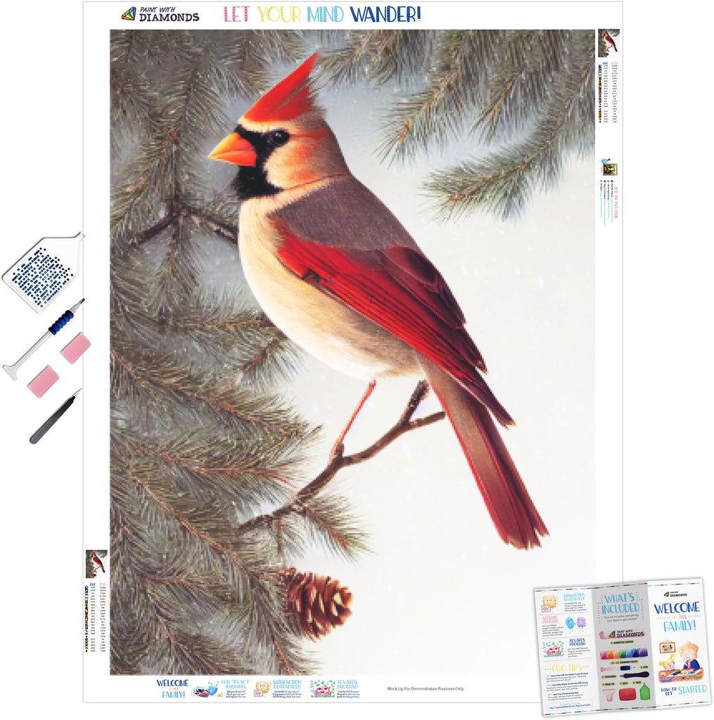 5D Diamond Painting Kit Red Cardinal Bird Cross Stitch Gems Embroidery DIY  Art