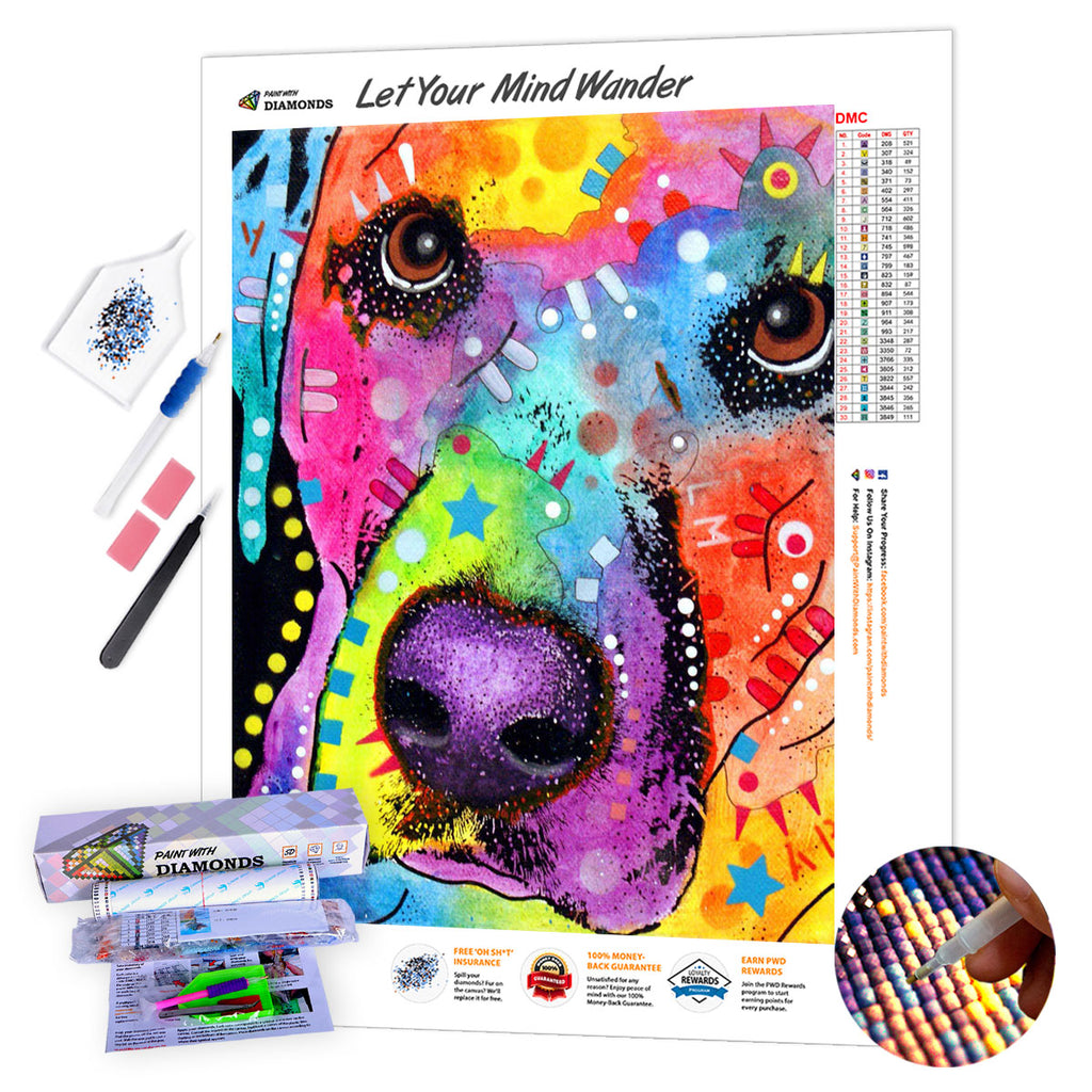 Cat & Dog Diamond Painting Set by Wizardi. Labrador Diamond Art Kit. Large  Diamond Painting Kit WD2505 
