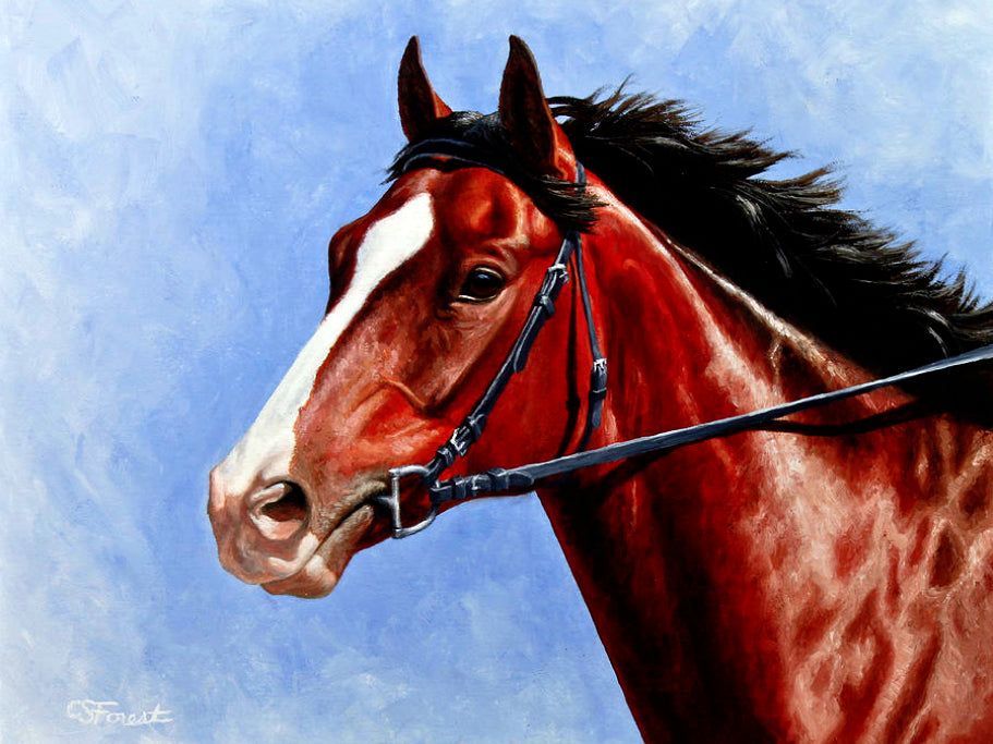 Red Horse Full Drill Stone Art Painting on Canvas Wholesale Diamond  Painting - China Diamond Painting and Horse Diamond Painting price