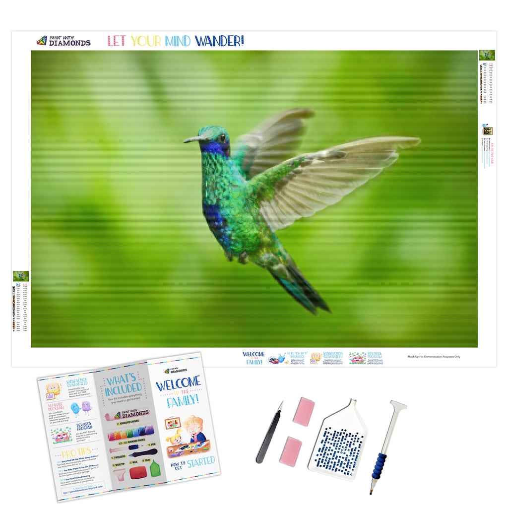 Full Diamond Painting kit - Hummingbird and Morning Glory – Hibah-Diamond  painting art studio