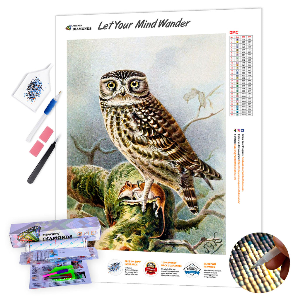 Kaiser Crafts Owl Kit Diamond Painting