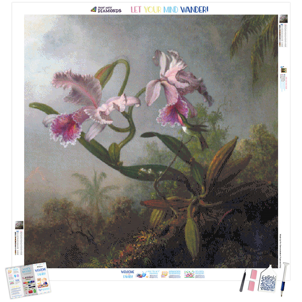 Orchids And Hummingbird Diamond Painting Kit (Full Drill) – Paint With  Diamonds