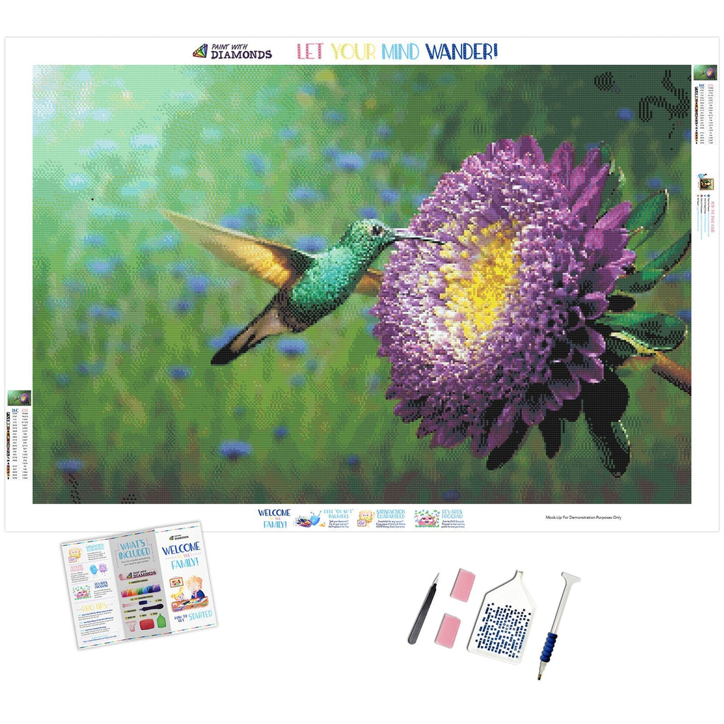 Orchids And Hummingbird Diamond Painting Kit (Full Drill) – Paint With  Diamonds