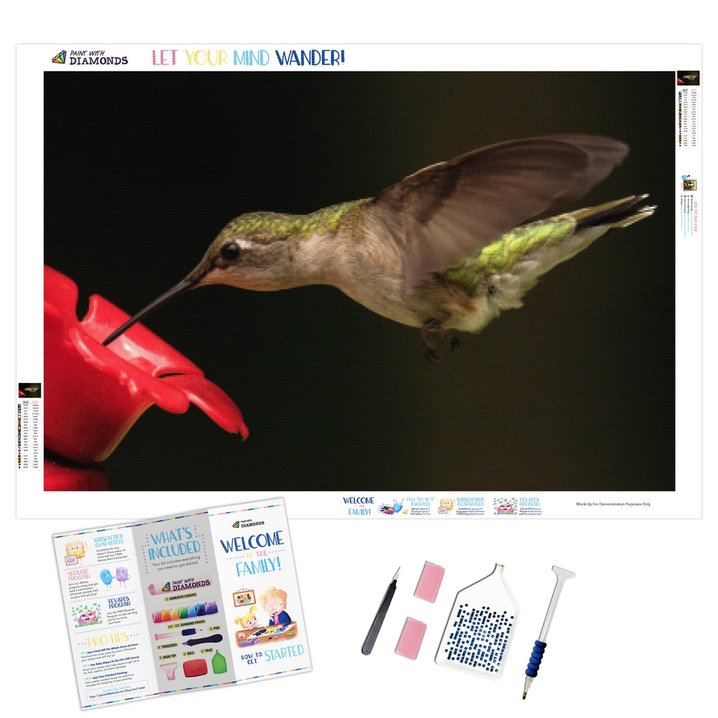 Nighttime Hummingbird Diamond Painting Kits Full Drill – OLOEE
