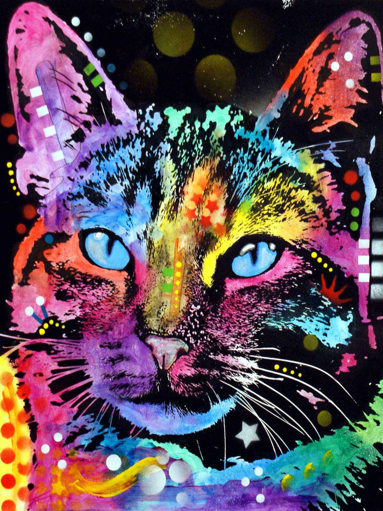 Rainbow Cat serie Diamond Painting Frames Diseño Manual