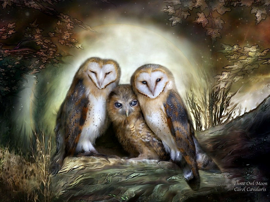 Owl Diamond Painting – Diamondpaintingpro