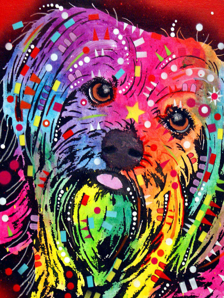 Close Up Shorkie Dog - Diamond Paintings 