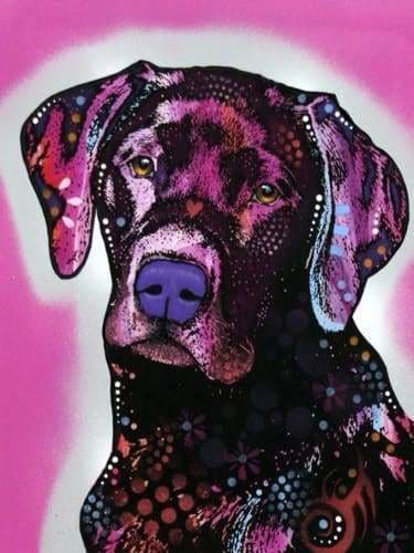 Closeup Labrador Diamond Painting Kit (Full Drill) – Paint With