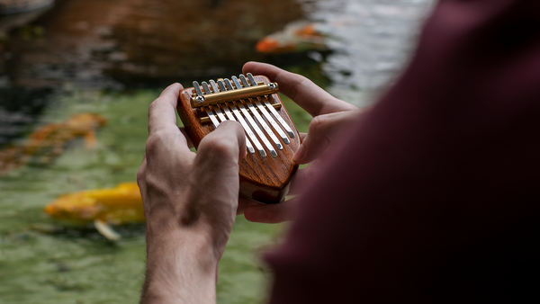 Sea Shanty The Thumb Piano