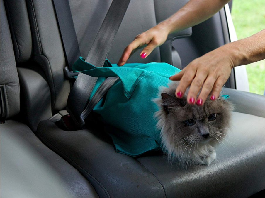 cat carrier pouch